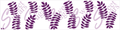 Cake - Medium Pointed Leaf Silkscreen Stencil - 2Lengths Available image 0